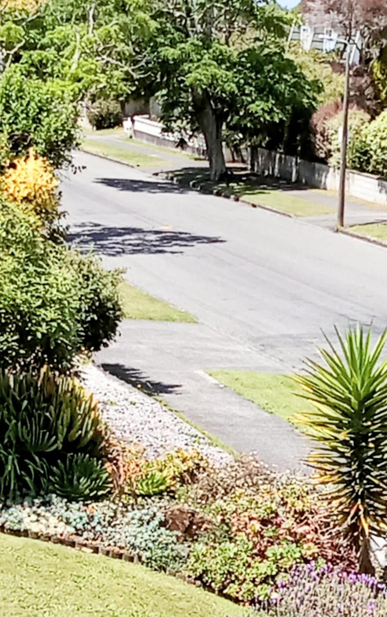 Park View 'Home Away From Home' Feilding Buitenkant foto